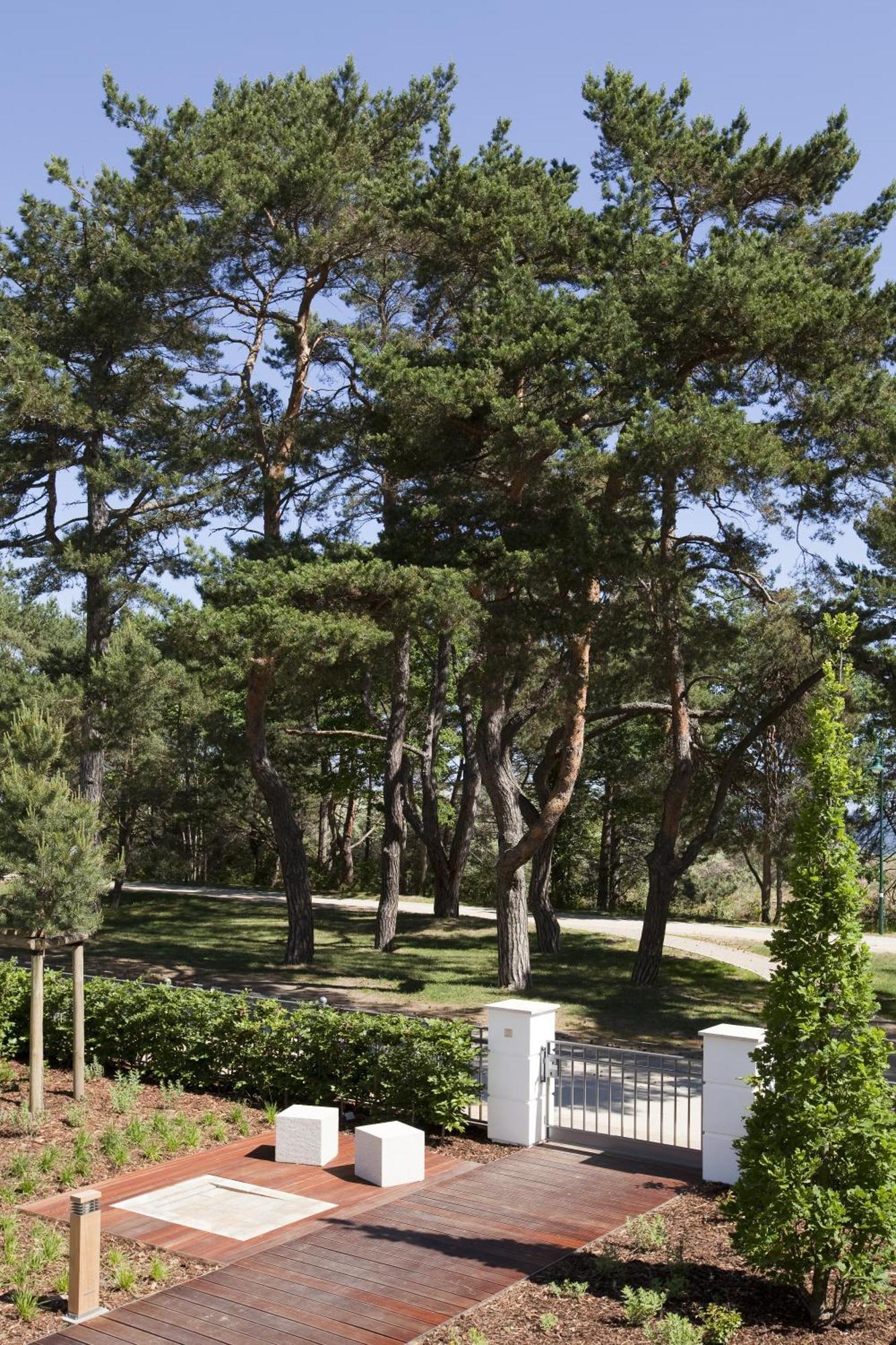 Steigenberger Grandhotel & Spa Heringsdorf Bagian luar foto Pines in the park